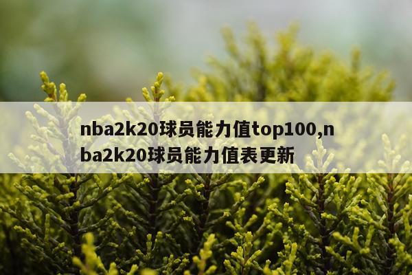 nba2k20球员能力值top100,nba2k20球员能力值表更新