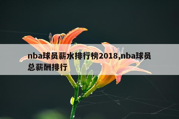 nba球员薪水排行榜2018,nba球员总薪酬排行