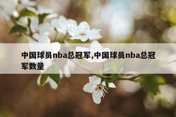 中国球员nba总冠军,中国球员nba总冠军数量