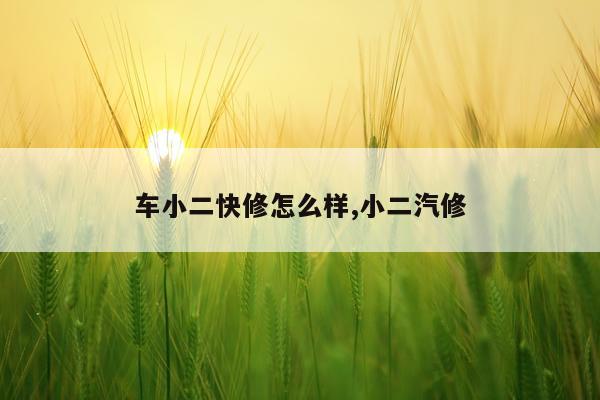 车小二快修怎么样,小二汽修