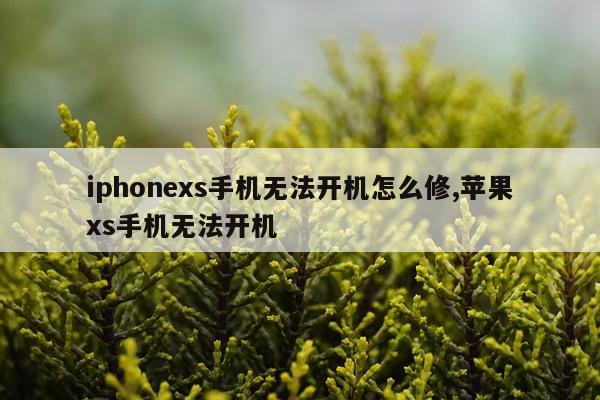 iphonexs手机无法开机怎么修,苹果xs手机无法开机