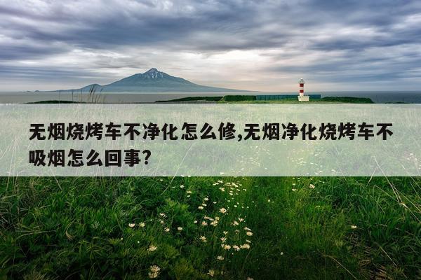 无烟烧烤车不净化怎么修,无烟净化烧烤车不吸烟怎么回事?