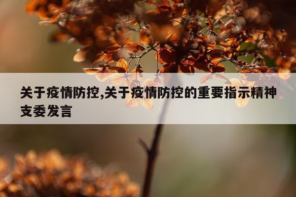 关于疫情防控,关于疫情防控的重要指示精神支委发言