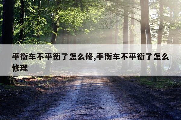 平衡车不平衡了怎么修,平衡车不平衡了怎么修理
