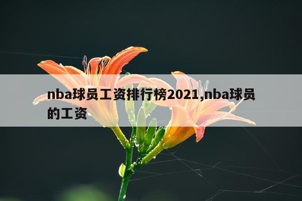 nba球员工资排行榜2021,nba球员的工资