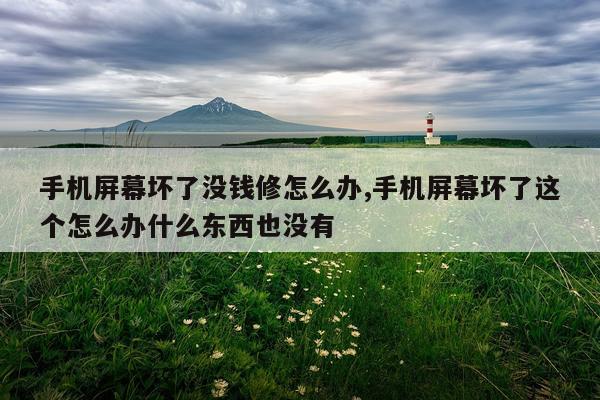 手机屏幕坏了没钱修怎么办,手机屏幕坏了这个怎么办什么东西也没有
