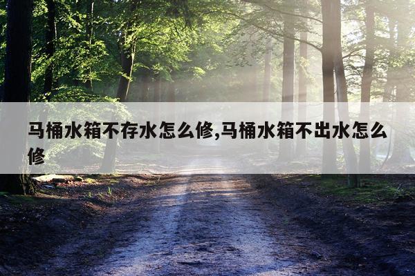 马桶水箱不存水怎么修,马桶水箱不出水怎么修