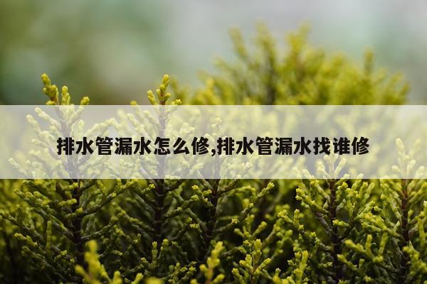 排水管漏水怎么修,排水管漏水找谁修