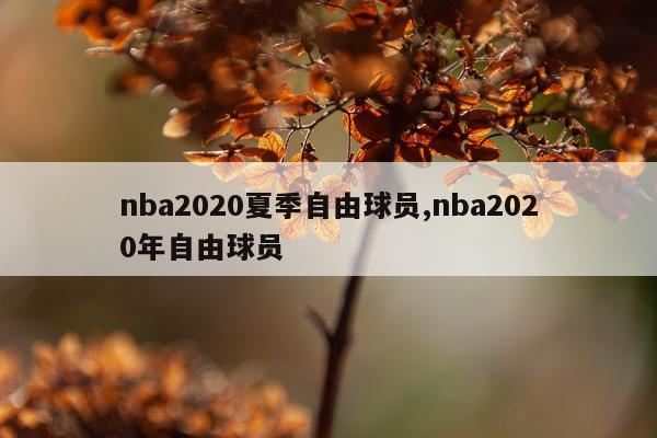 nba2020夏季自由球员,nba2020年自由球员