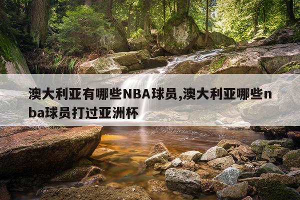 澳大利亚有哪些NBA球员,澳大利亚哪些nba球员打过亚洲杯