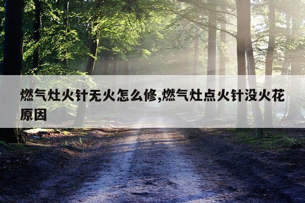 燃气灶火针无火怎么修,燃气灶点火针没火花原因