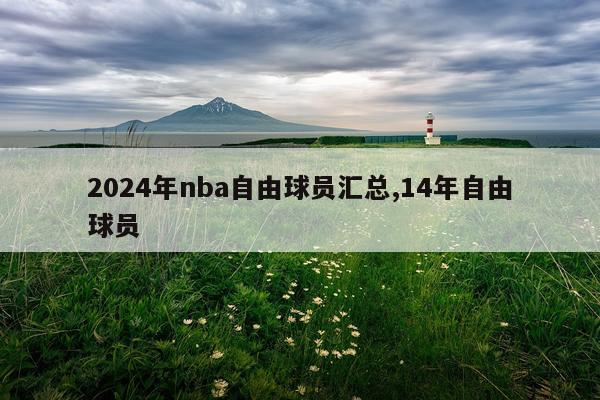 2024年nba自由球员汇总,14年自由球员