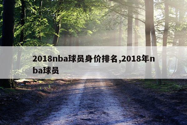 2018nba球员身价排名,2018年nba球员