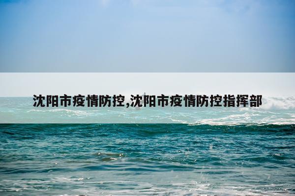 沈阳市疫情防控,沈阳市疫情防控指挥部