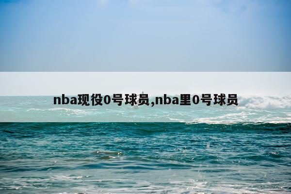 nba现役0号球员,nba里0号球员