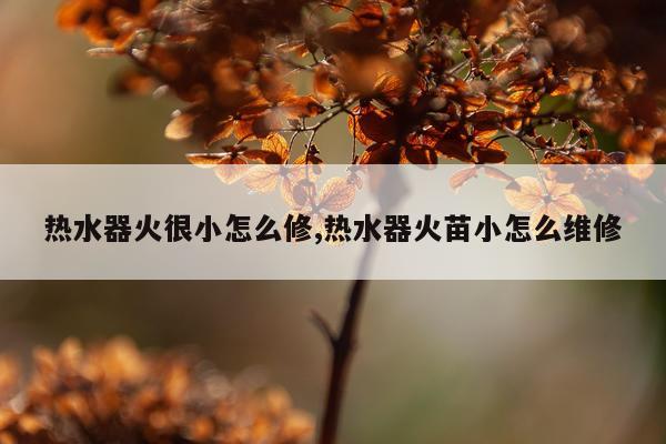 热水器火很小怎么修,热水器火苗小怎么维修