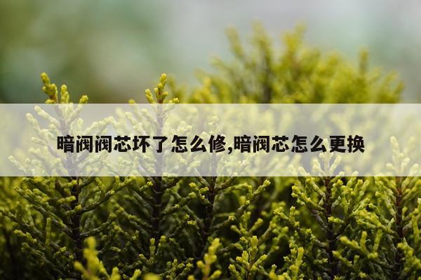暗阀阀芯坏了怎么修,暗阀芯怎么更换