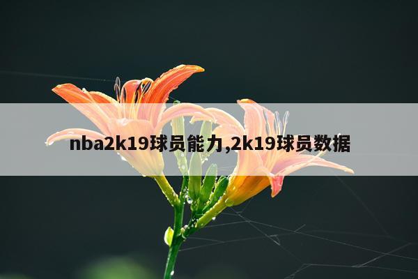 nba2k19球员能力,2k19球员数据