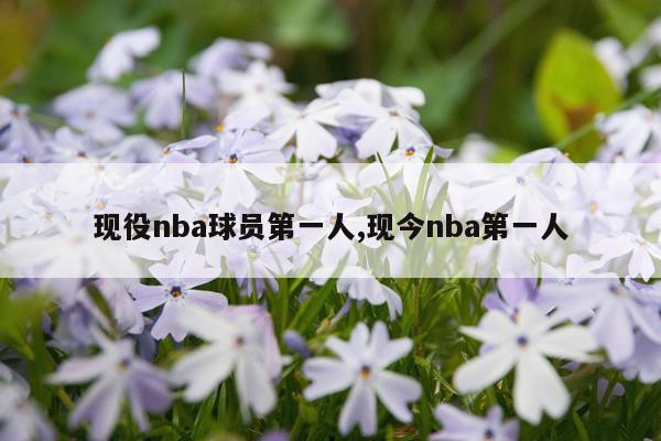 现役nba球员第一人,现今nba第一人