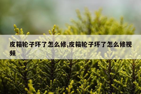 皮箱轮子坏了怎么修,皮箱轮子坏了怎么修视频