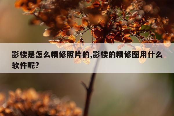 影楼是怎么精修照片的,影楼的精修图用什么软件呢?