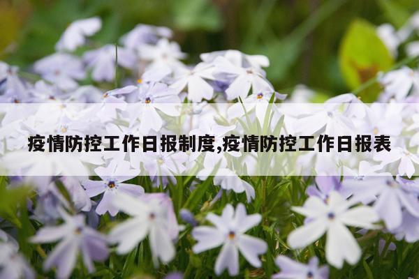 疫情防控工作日报制度,疫情防控工作日报表