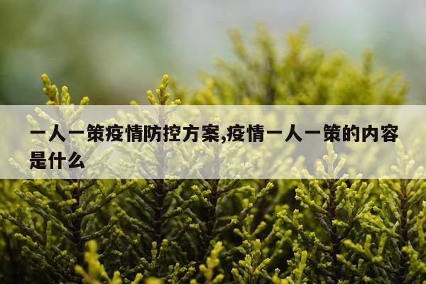 一人一策疫情防控方案,疫情一人一策的内容是什么