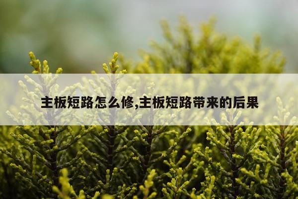 主板短路怎么修,主板短路带来的后果