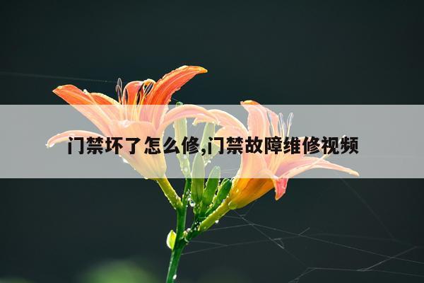 门禁坏了怎么修,门禁故障维修视频