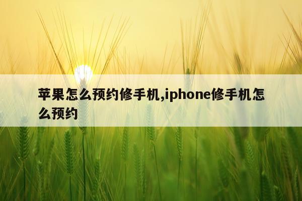 苹果怎么预约修手机,iphone修手机怎么预约