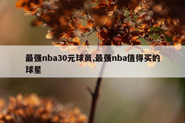 最强nba30元球员,最强nba值得买的球星
