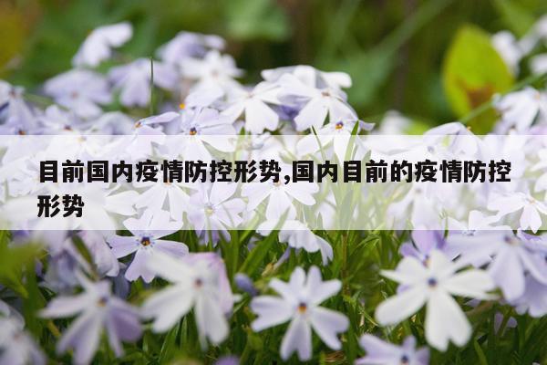 目前国内疫情防控形势,国内目前的疫情防控形势