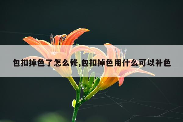 包扣掉色了怎么修,包扣掉色用什么可以补色