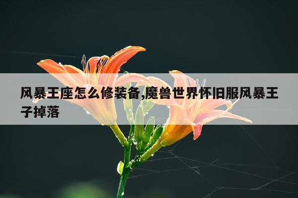 风暴王座怎么修装备,魔兽世界怀旧服风暴王子掉落
