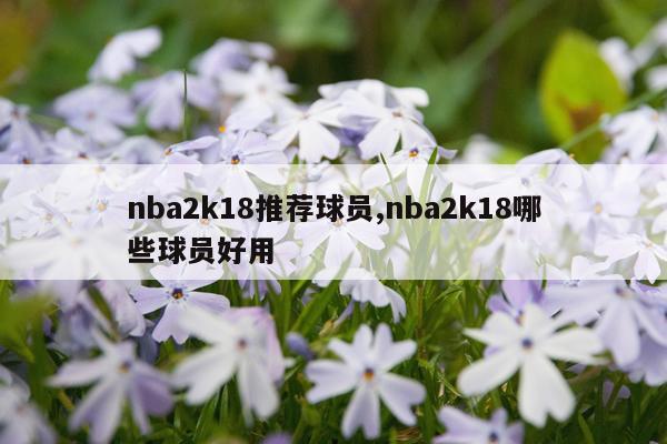 nba2k18推荐球员,nba2k18哪些球员好用