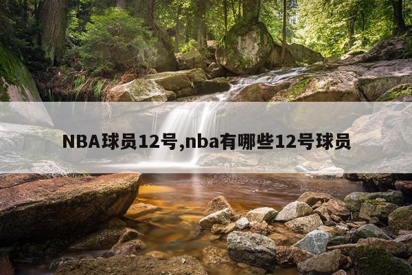 NBA球员12号,nba有哪些12号球员