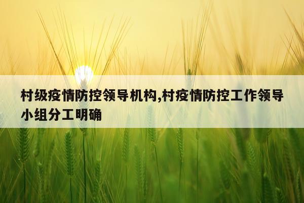 村级疫情防控领导机构,村疫情防控工作领导小组分工明确