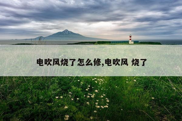 电吹风烧了怎么修,电吹风 烧了