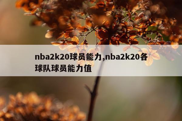 nba2k20球员能力,nba2k20各球队球员能力值