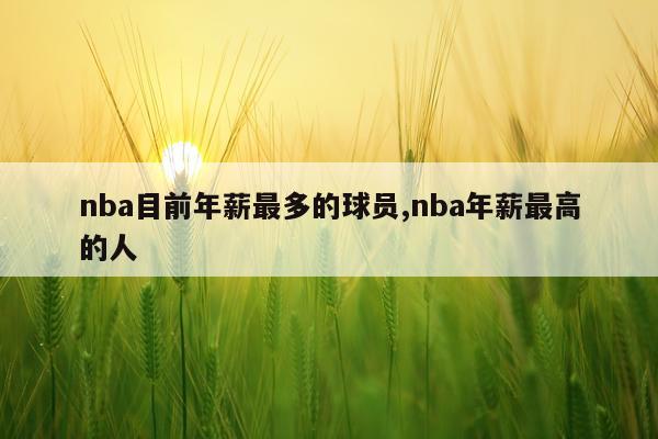 nba目前年薪最多的球员,nba年薪最高的人