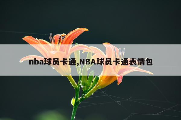 nba球员卡通,NBA球员卡通表情包