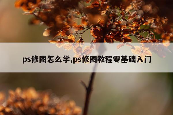 ps修图怎么学,ps修图教程零基础入门