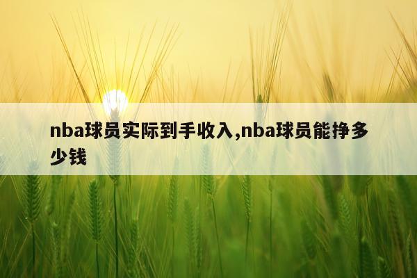 nba球员实际到手收入,nba球员能挣多少钱