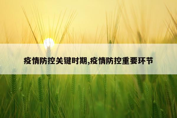疫情防控关键时期,疫情防控重要环节