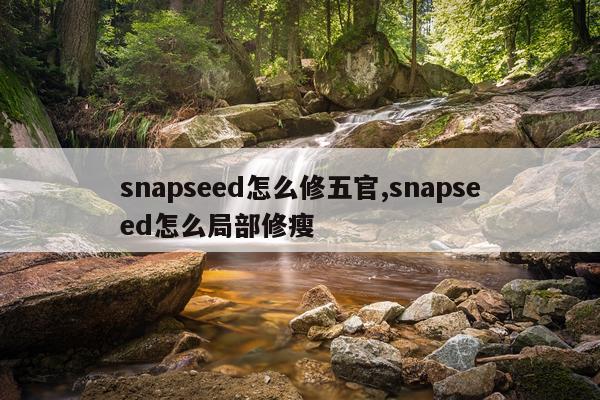 snapseed怎么修五官,snapseed怎么局部修瘦