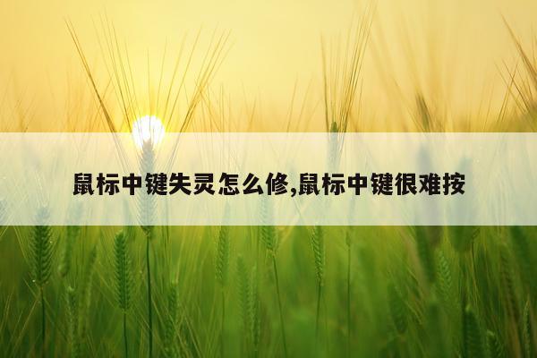 鼠标中键失灵怎么修,鼠标中键很难按