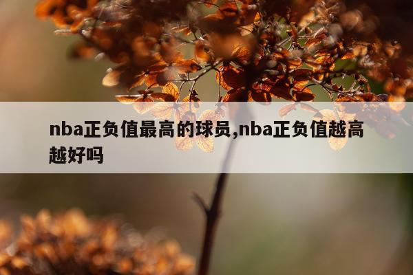 nba正负值最高的球员,nba正负值越高越好吗