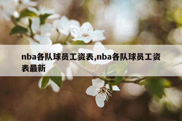 nba各队球员工资表,nba各队球员工资表最新