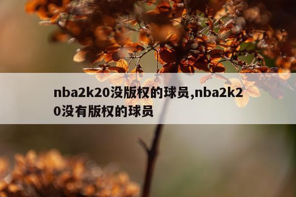 nba2k20没版权的球员,nba2k20没有版权的球员