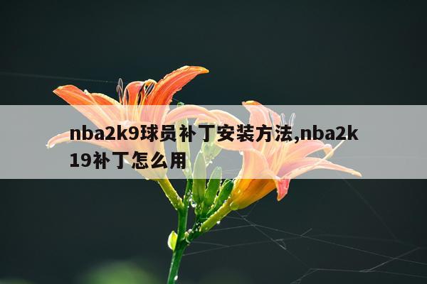 nba2k9球员补丁安装方法,nba2k19补丁怎么用
